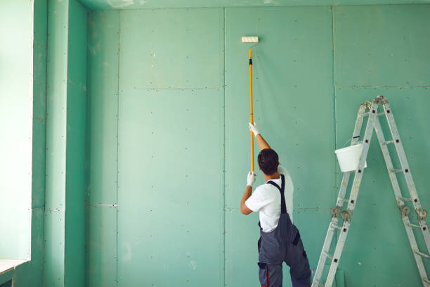 Best Ceiling Drywall Installation  in Pine Level, NC