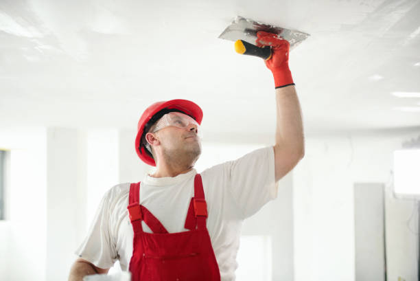 Best Residential Painting  in Pine Level, NC